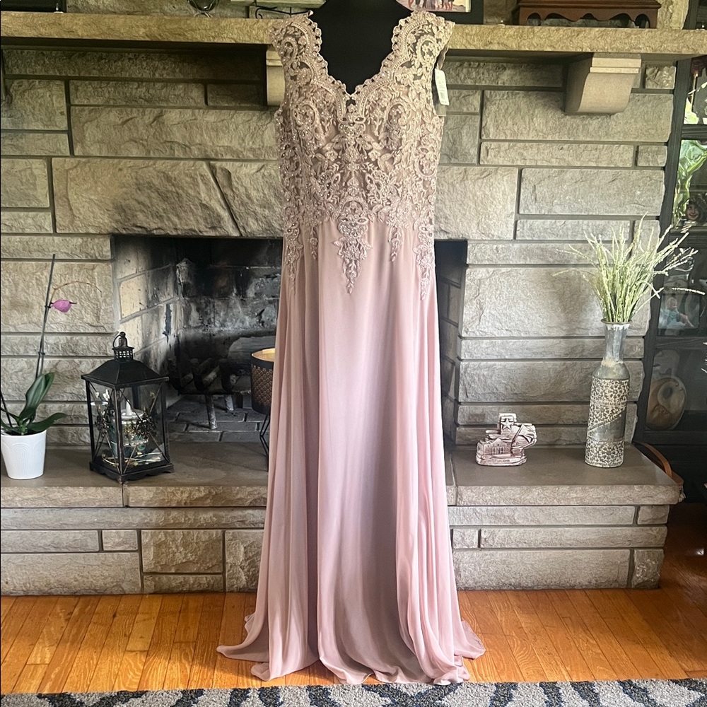 David's Bridal Blush Lace Gown
